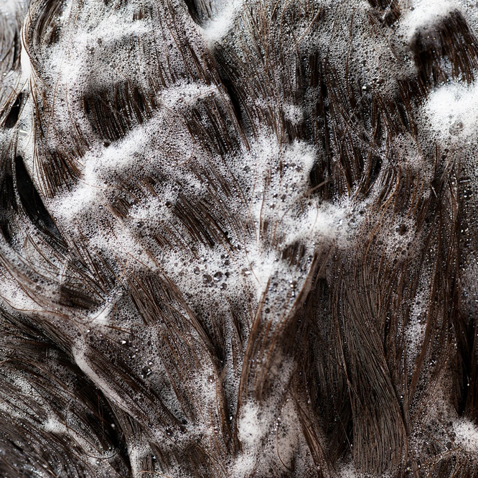Signature Shampoo - Image 15