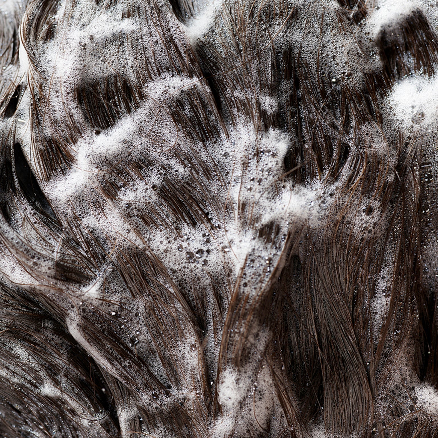 Signature Shampoo - Image 4